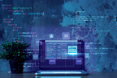 Software Domain